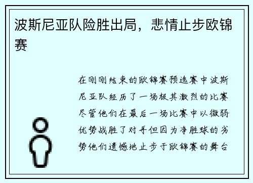 波斯尼亚队险胜出局，悲情止步欧锦赛