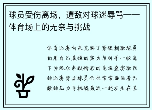 球员受伤离场，遭敌对球迷辱骂——体育场上的无奈与挑战