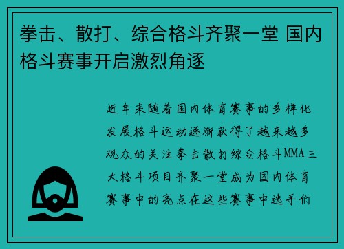 拳击、散打、综合格斗齐聚一堂 国内格斗赛事开启激烈角逐