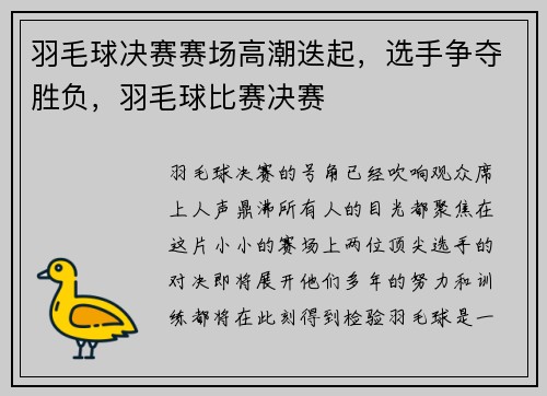羽毛球决赛赛场高潮迭起，选手争夺胜负，羽毛球比赛决赛